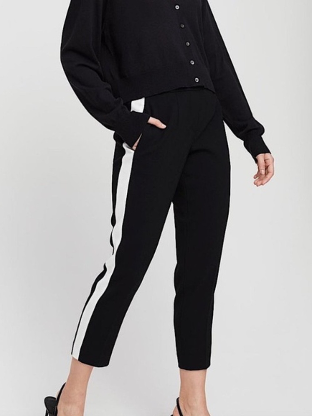 Babaton Aritzia Dexter Tuxedo Pant